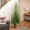 Northlight Medium Norfolk Pine Artificial Potted Christmas Tree - 6’ - Unlit